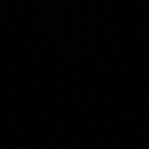 Meet your Posher, Dillon